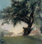 Anonymous Giant tree and barracks USA oil painting artist