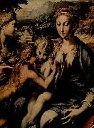 PARMIGIANINO Thronende Madonna, Hl. Zacharias, Hl. Johannes der Taufer und Hl. Maria Magdalena USA oil painting artist